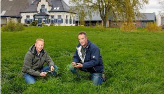 Smakelijk gras verhoogt voeropname en melkproductie