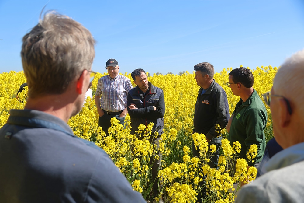 akkerbouwers bespreken winterkoolzaad teelt tijdens veldbijeenkomst in Ellemeet