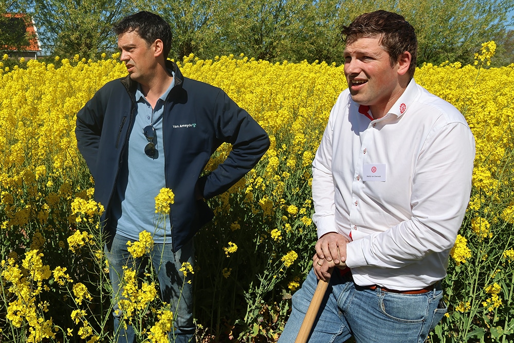 akkerbouwer Leendert Hanse en productmanager Martijn van Overveld bespreken winterkoolzaad teelt in veld Ellemeet
