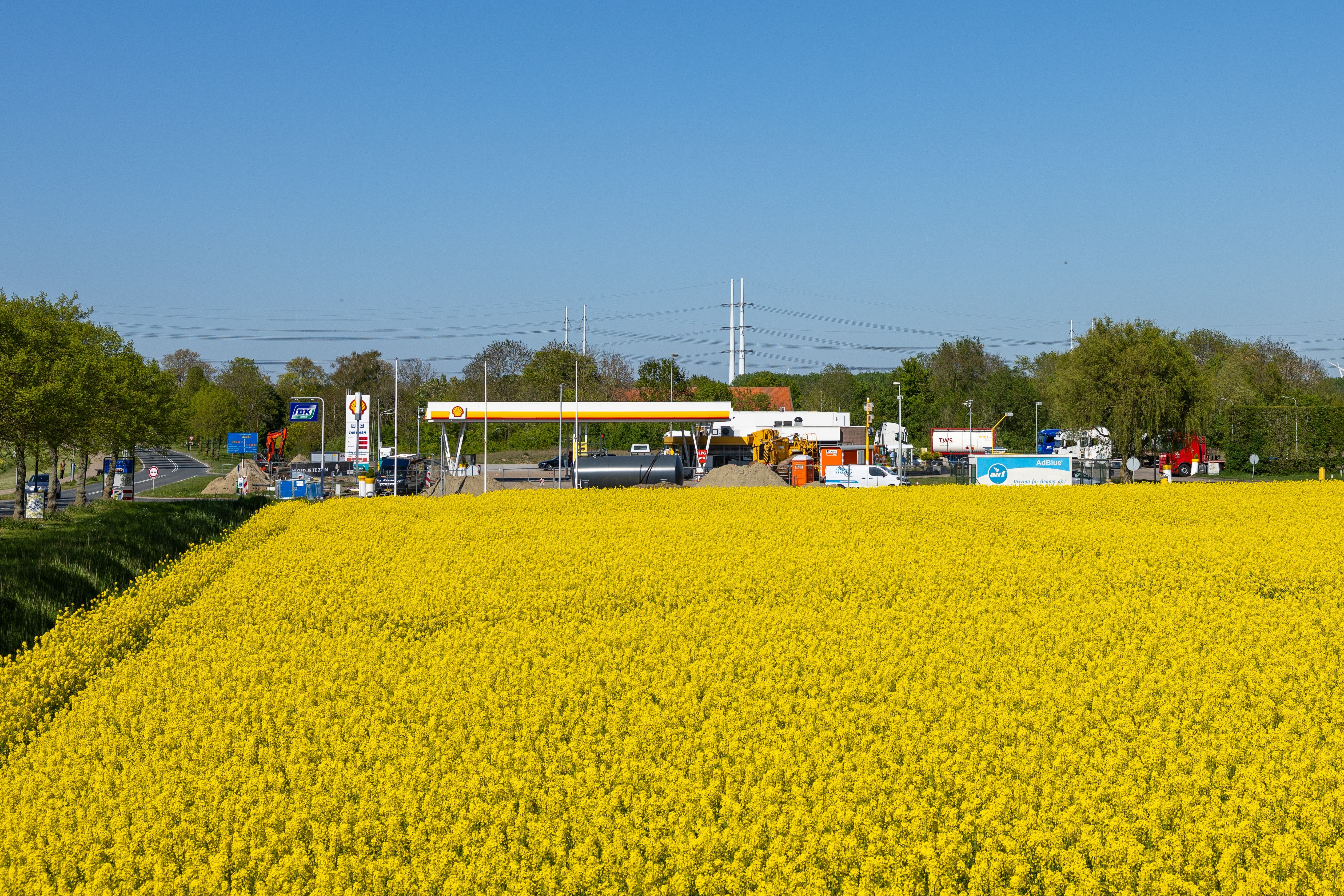 Winterkoolzaad naast tankstation in Rilland