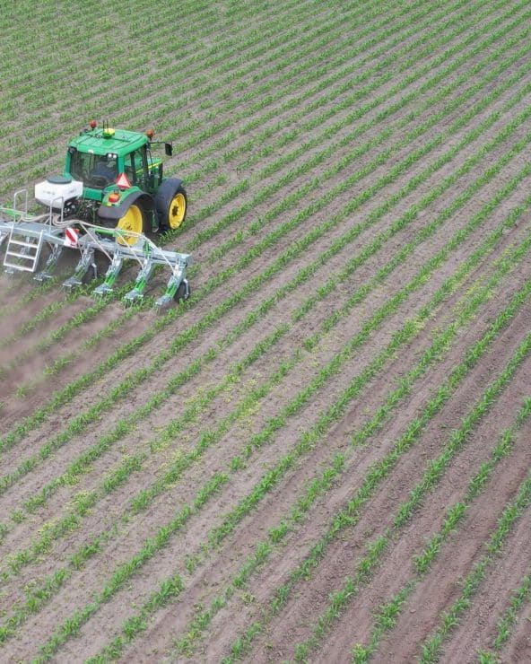 Dronebeeld van tractor die maïs schoffelt na zware regen
